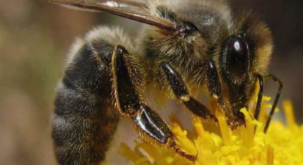 Image de couverture pour La Planète Bleue 1002 –