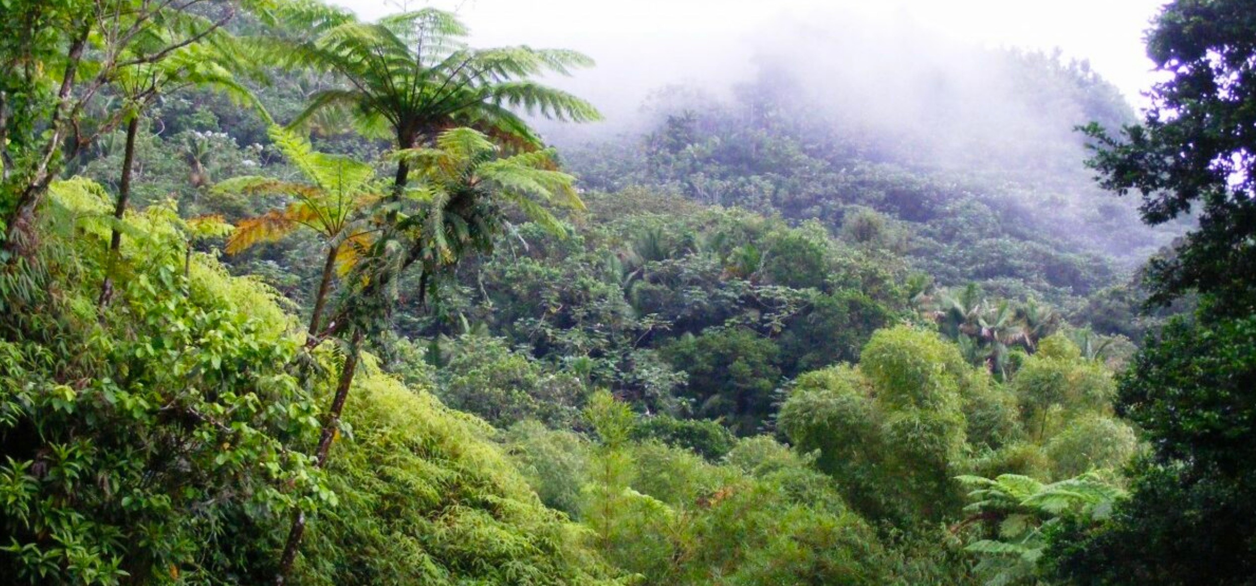 Image de couverture pour La Planète Bleue 1019 –