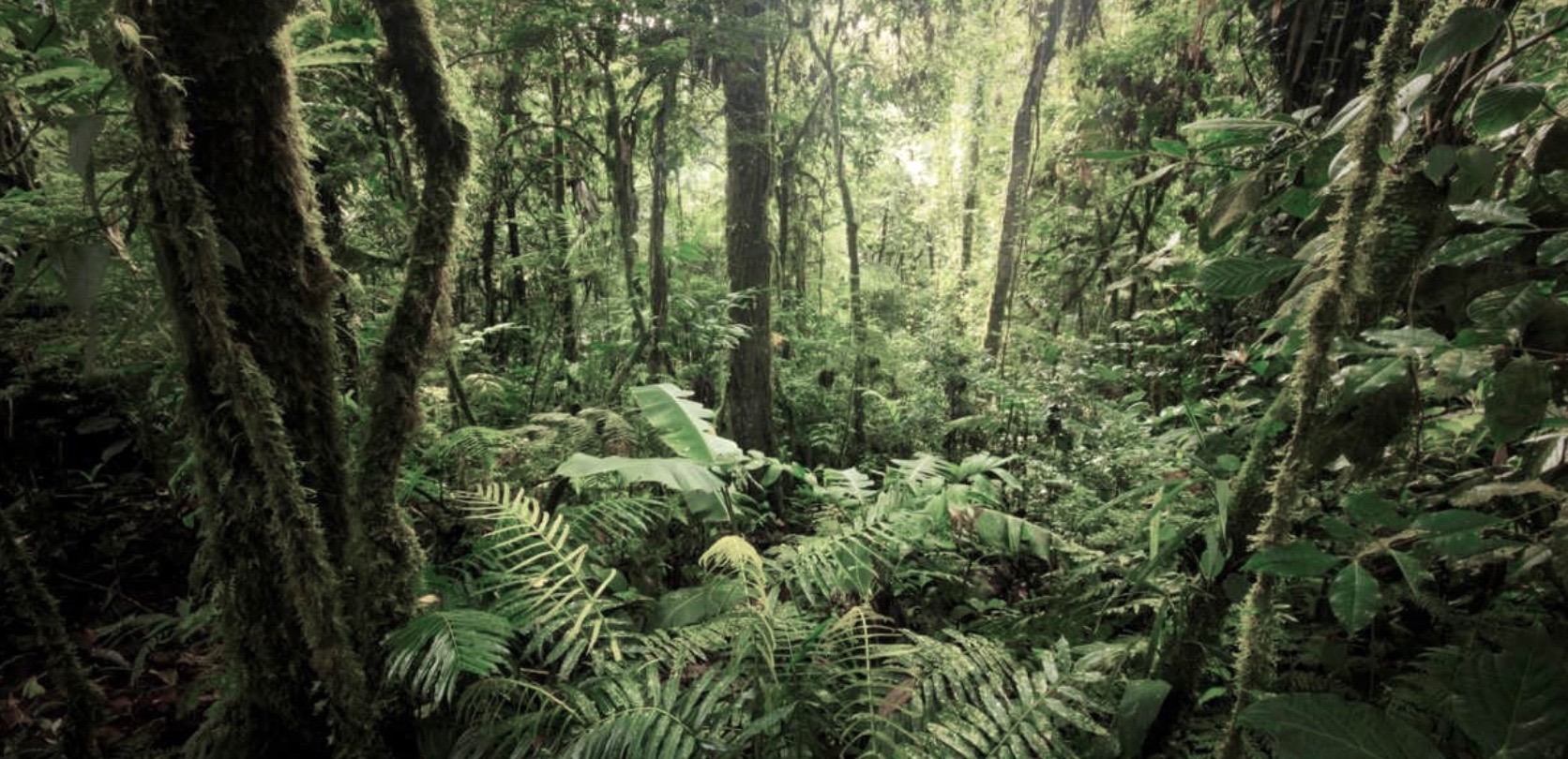 Image de couverture pour La Planète Bleue 1022 –