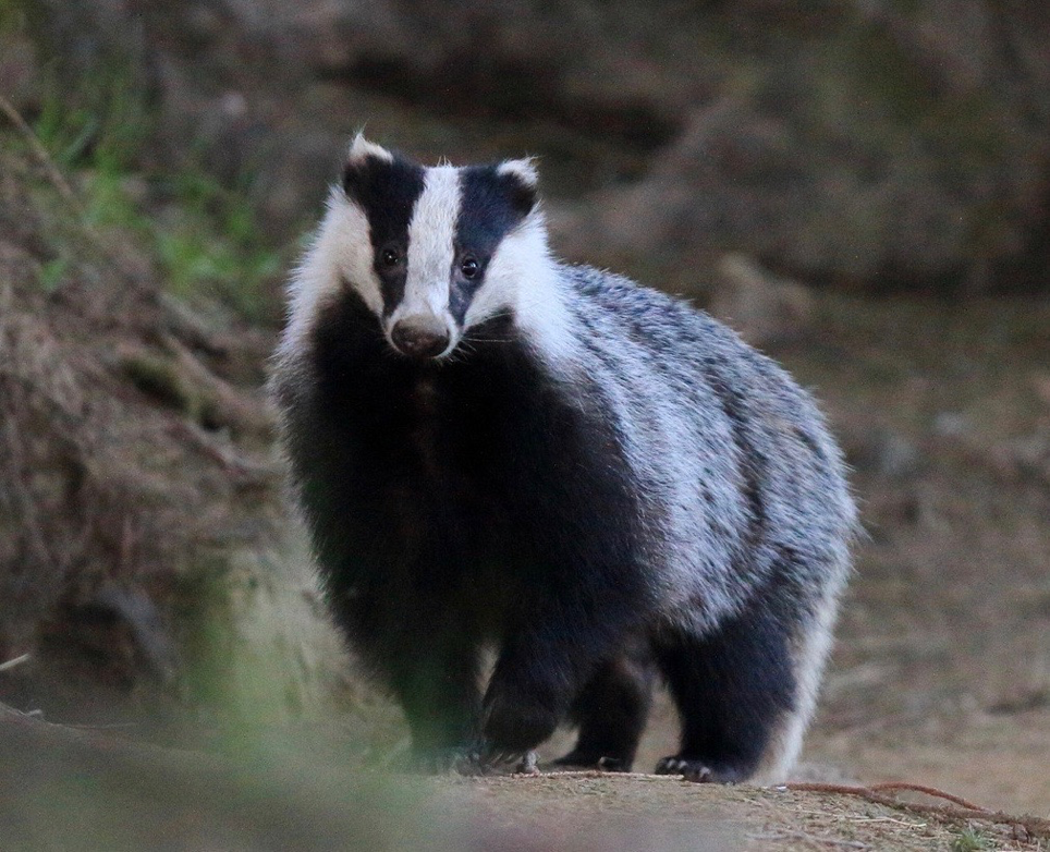 Image de couverture pour La Planète Bleue 1028 –