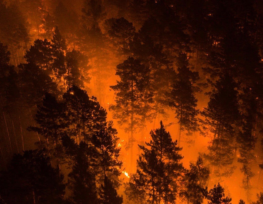 Image de couverture pour La Planète Bleue 1051 –