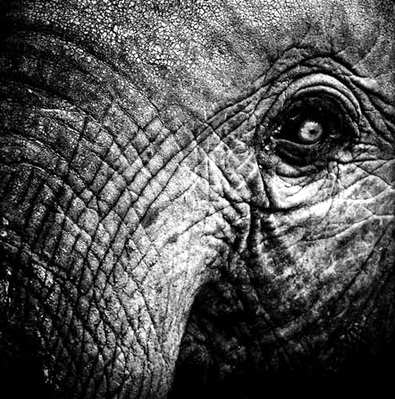 Image de couverture pour La Planète Bleue 767 –