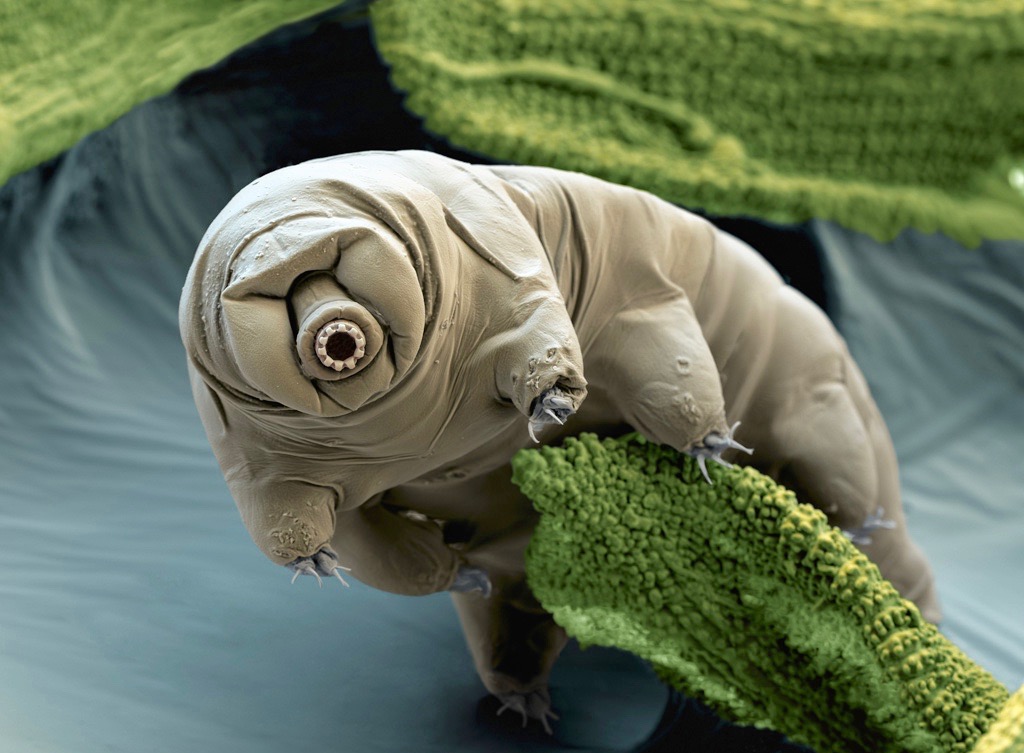 Image de couverture pour La Planète Bleue 890 –