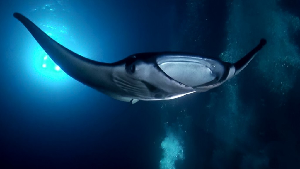 Image de couverture pour La Planète Bleue 899 –