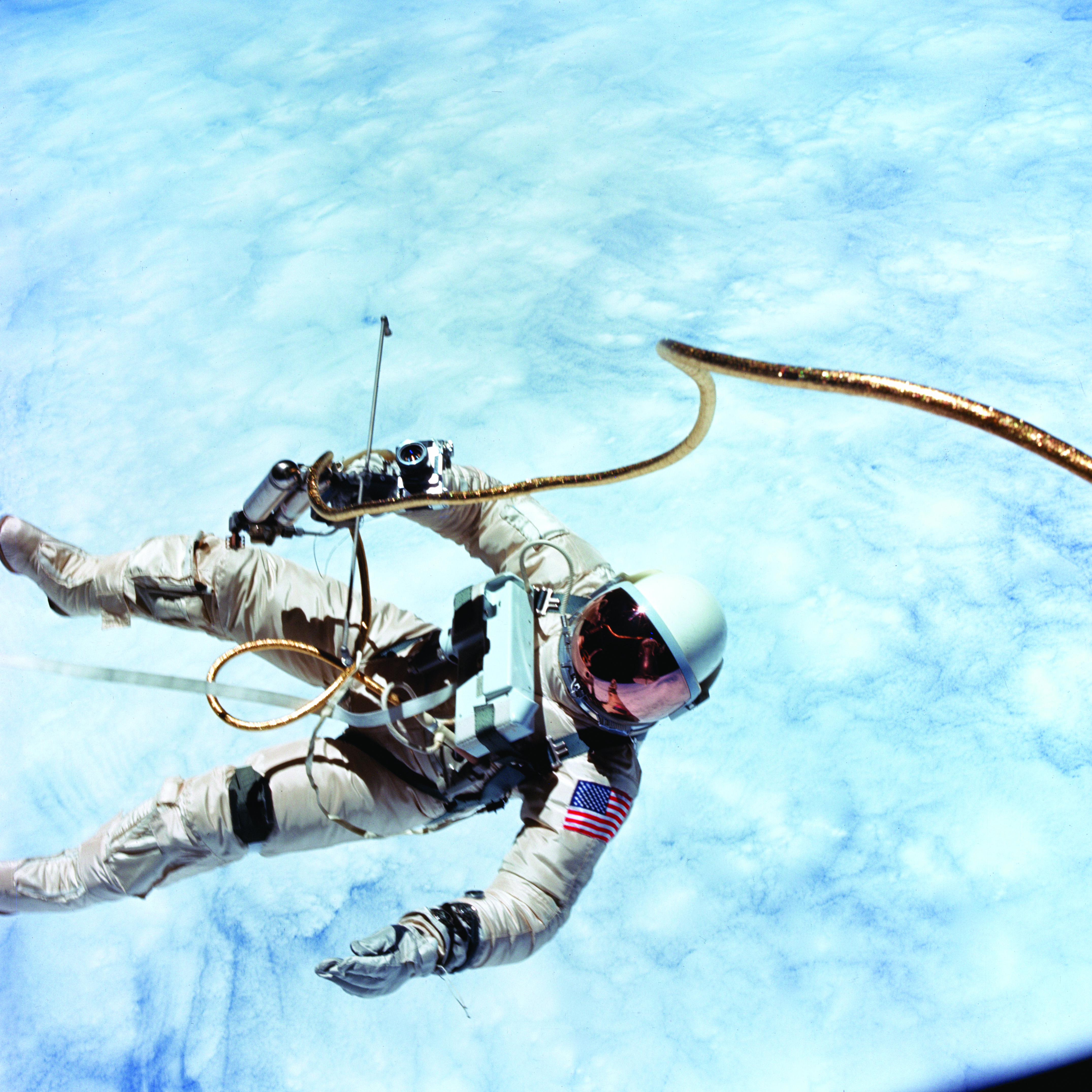 Image de couverture pour La Planète Bleue 961 –