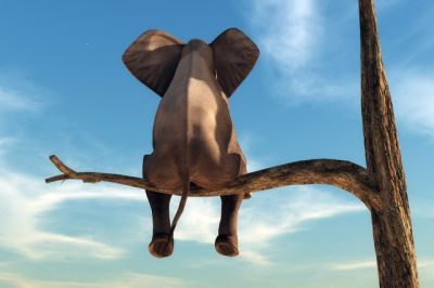 Image de couverture pour La Planète Bleue 982 –