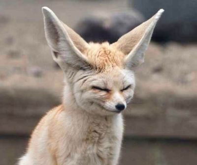 Image de couverture pour La Planète Bleue 988 –