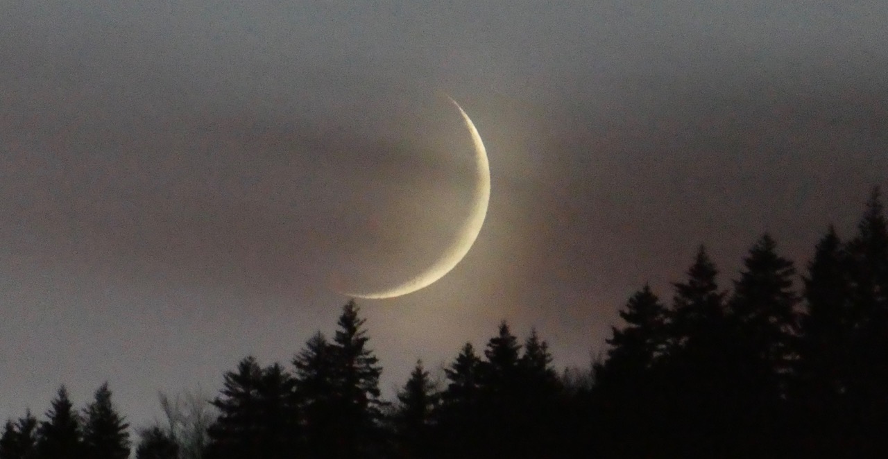 Image de couverture pour La Planète Bleue 990 –